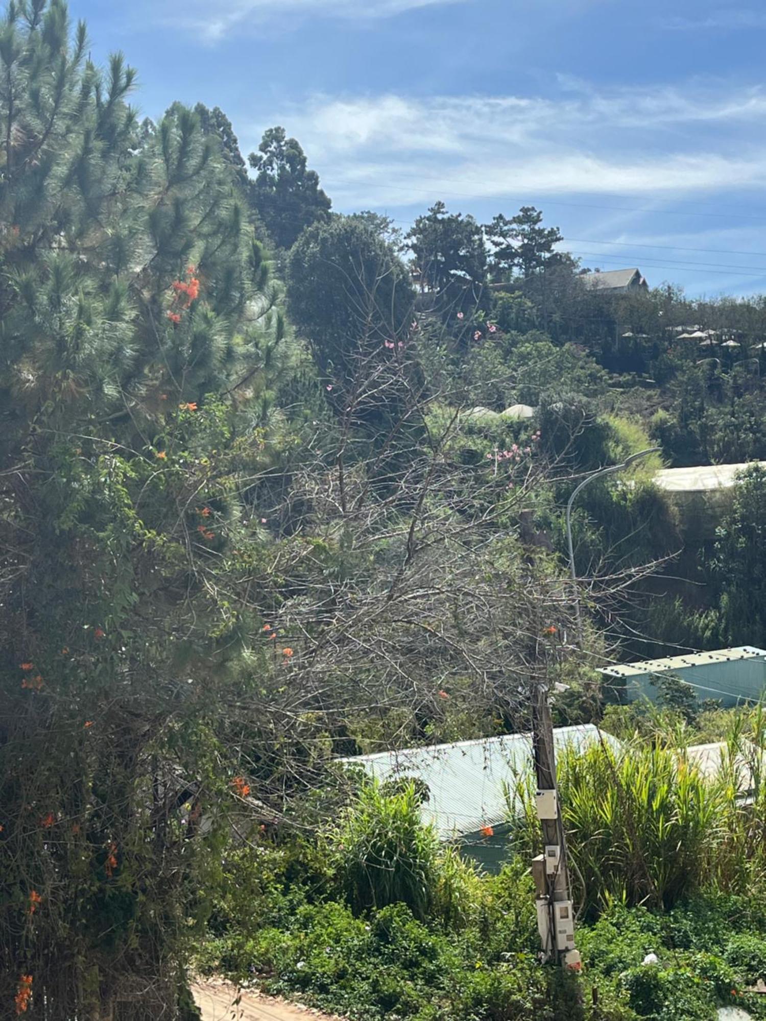 Amia Dalat Da Lat Exterior foto